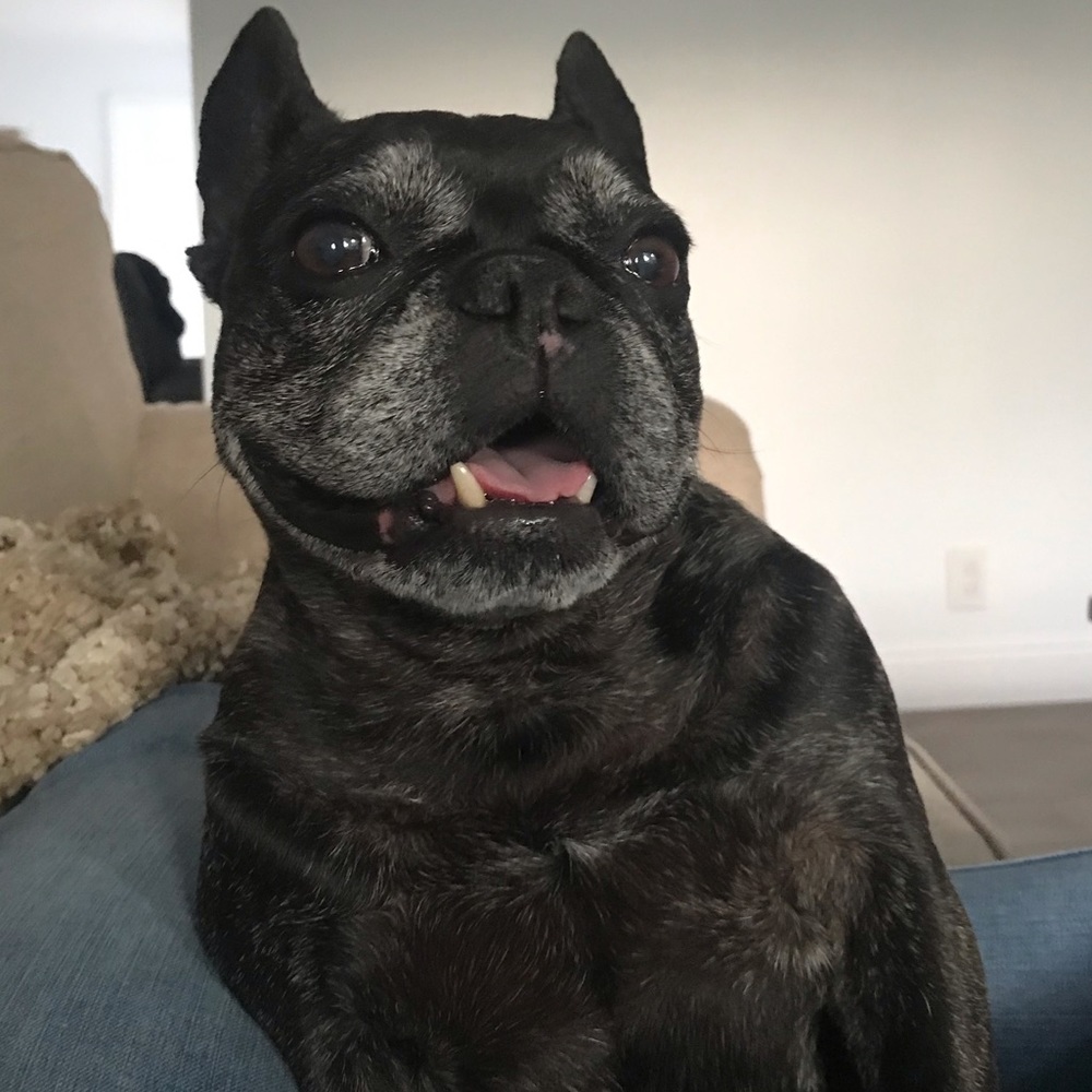 Meet your Posher, Fiona
